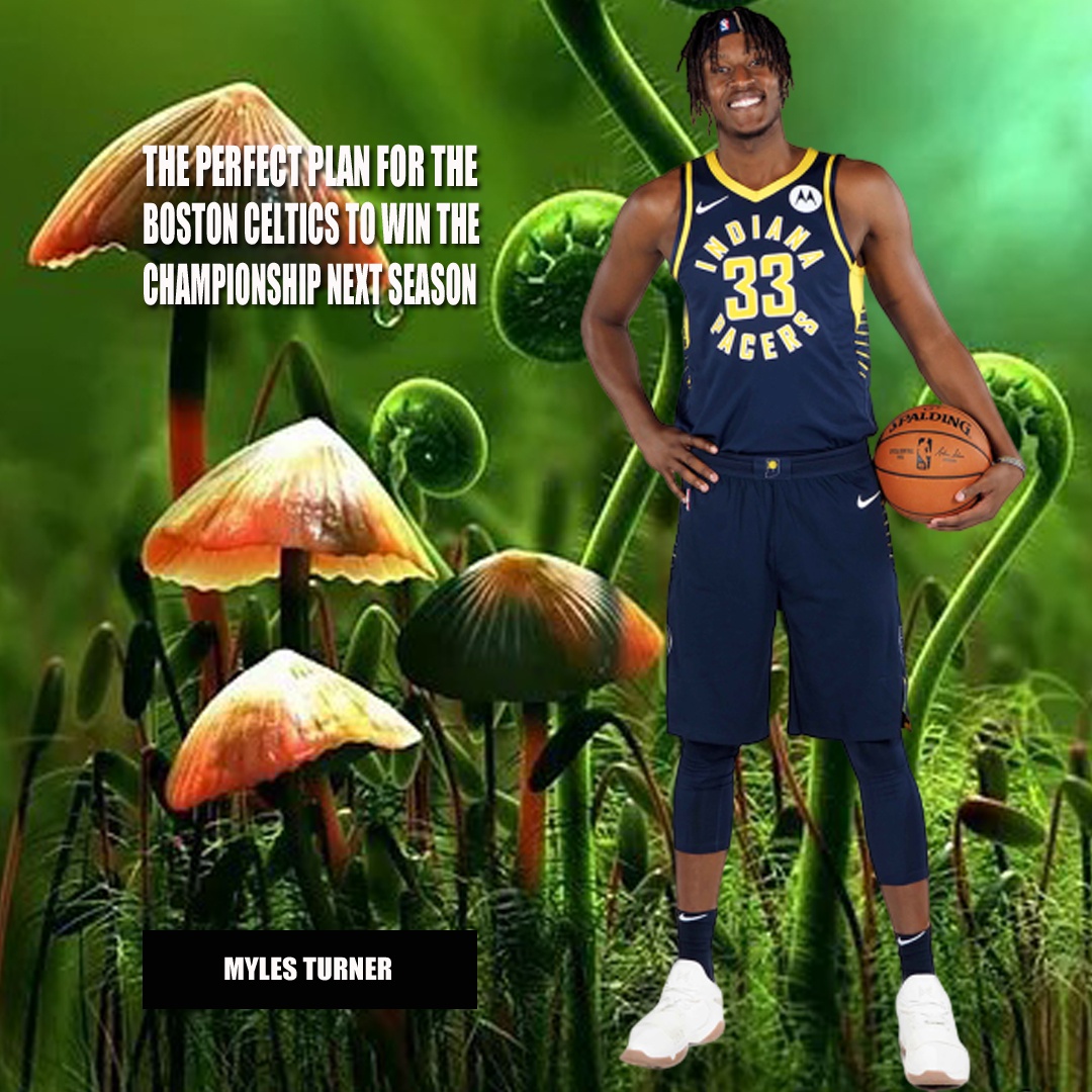 窗口期突围战来临，波士顿凯尔特人围绕西甲完成体检，悬念犹存，医务组通报恢复的简单介绍